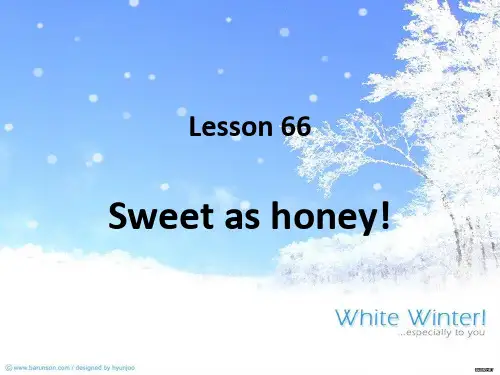 新概念第二册lesson66(共34张PPT)