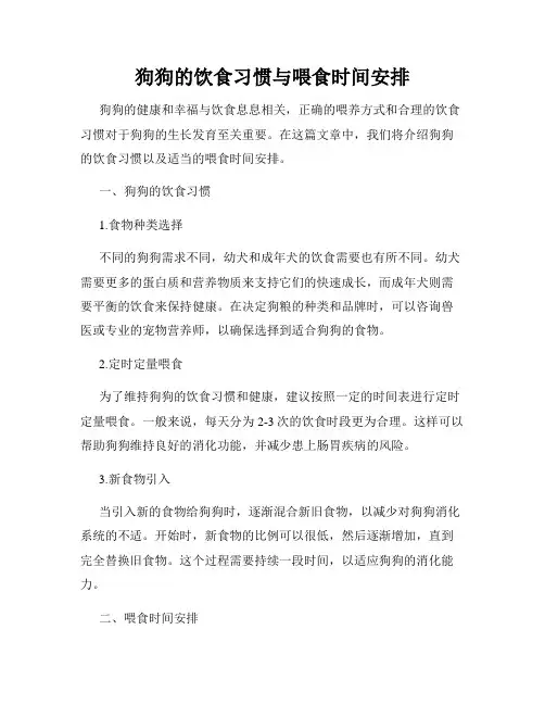狗狗的饮食习惯与喂食时间安排
