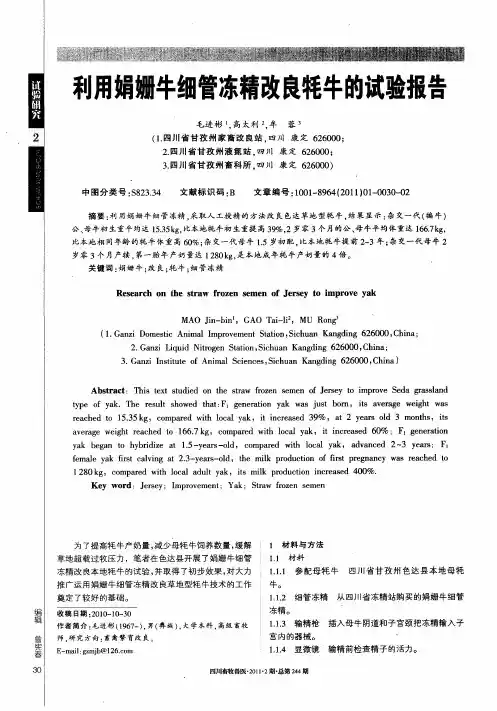 利用娟姗牛细管冻精改良牦牛的试验报告