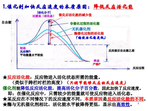 影响酶活力的因素的曲线