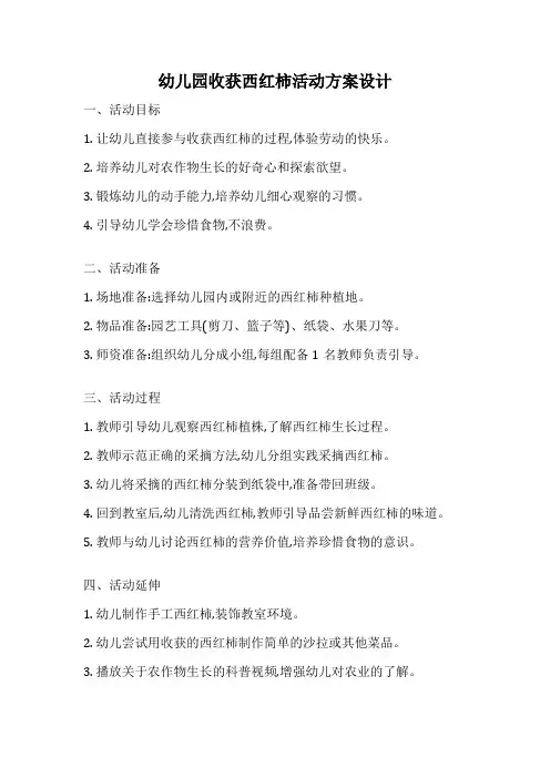 幼儿园收获西红柿活动方案设计