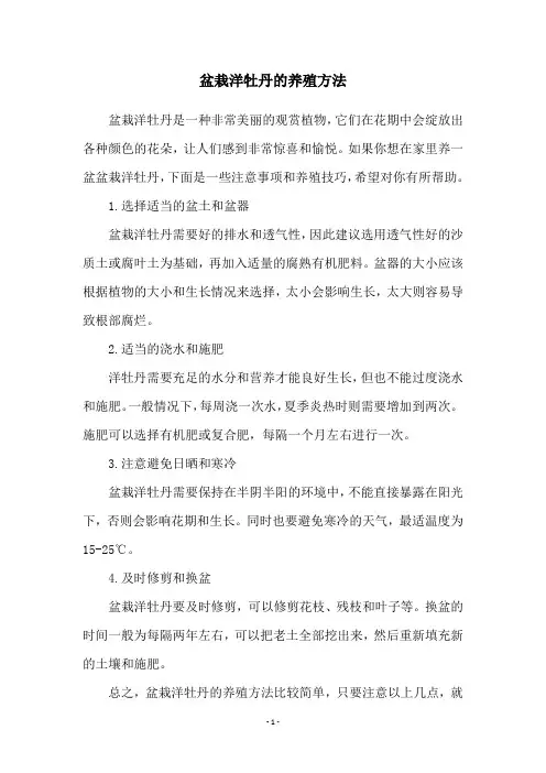 盆栽洋牡丹的养殖方法