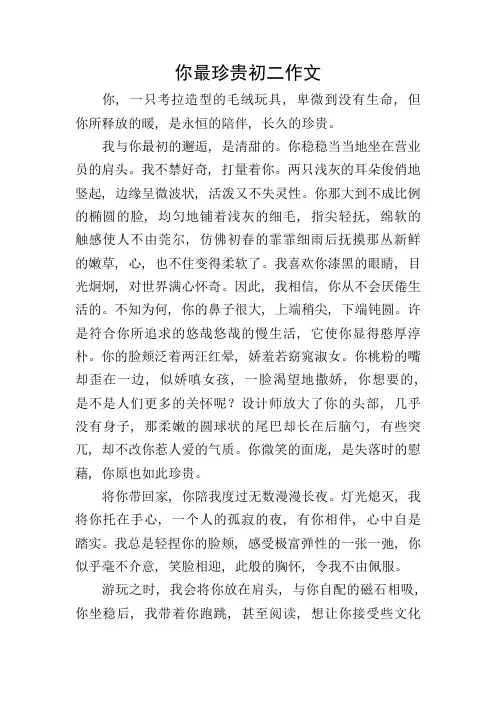 你最珍贵初二作文