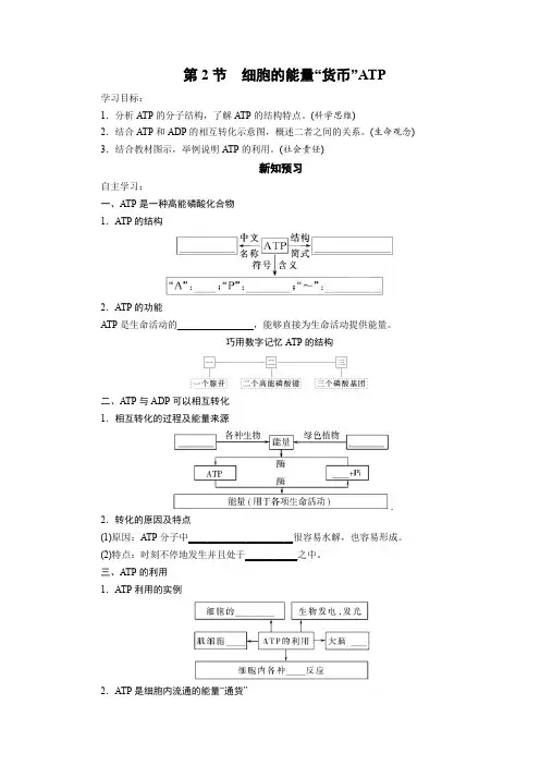 学案1：5.2 细胞的能量“货币”ATP