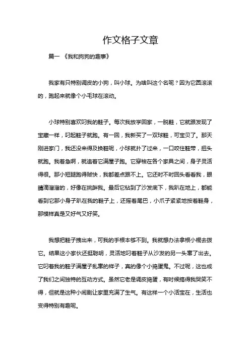 作文格子文章