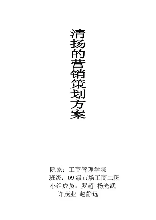 联合利华——清扬营销策划分析