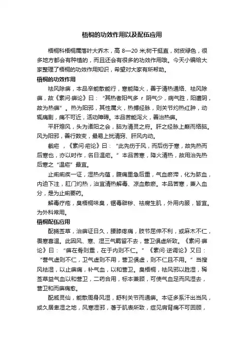 梧桐的功效作用以及配伍应用