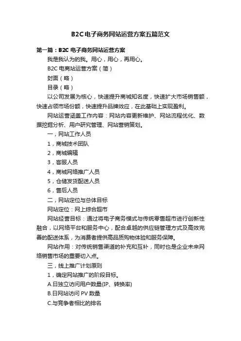 B2C电子商务网站运营方案五篇范文