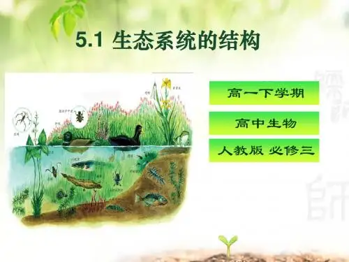 人教版高中生物必修三第五章第1节《生态系统的结构》 课件 (共33张PPT)