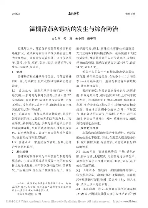温棚番茄灰霉病的发生与综合防治_古仁刚