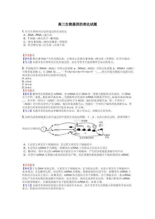 高三生物基因的表达试题
