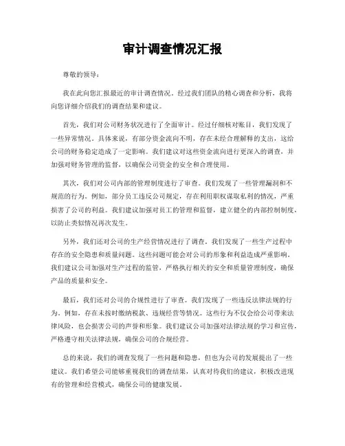 审计调查情况汇报