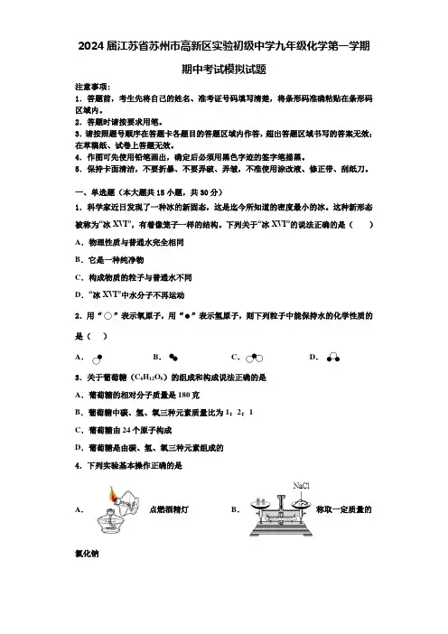 2024届江苏省苏州市高新区实验初级中学九年级化学第一学期期中考试模拟试题含解析