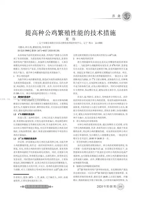 提高种公鸡繁殖性能的技术措施