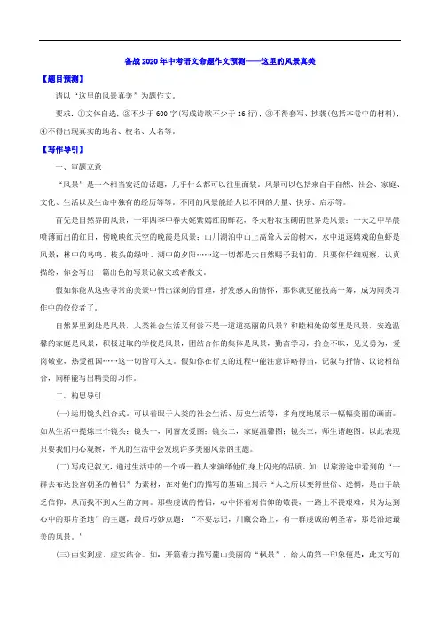 备战2020年中考语文命题作文预测——这里的风景真美