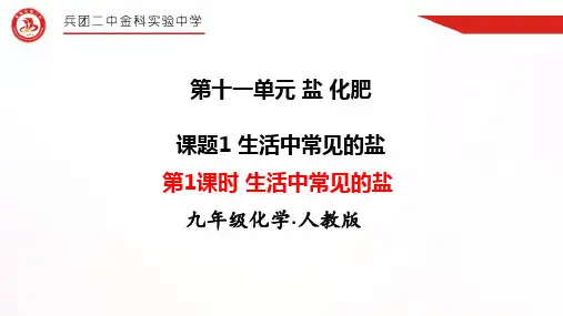 第1课时  生活中常见的盐