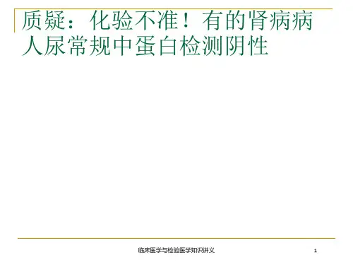 临床医学与检验医学知识讲义培训课件
