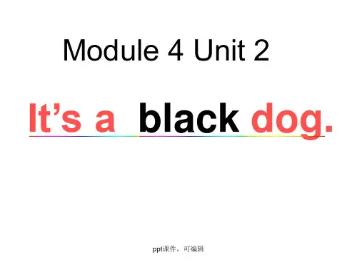 外研版英语三起三年级上册Module4 Unit2 It’s a  black dog课件3(精品课件)