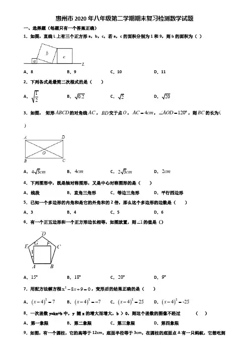 惠州市2020年八年级第二学期期末复习检测数学试题含解析