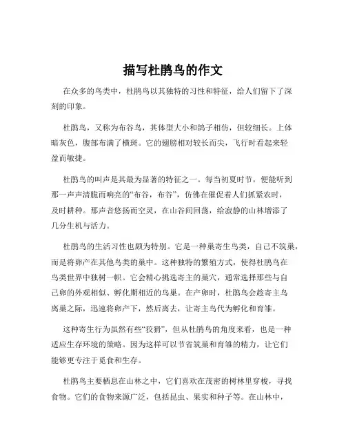 描写杜鹃鸟的作文