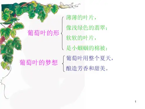 葡萄叶的梦PPT课件