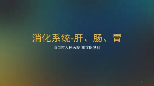 消化道系统ppt课件