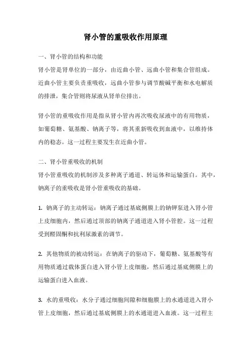 肾小管的重吸收作用原理