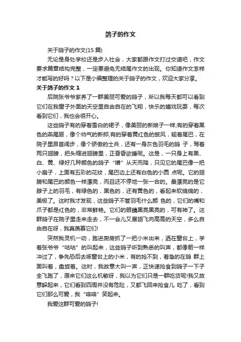 鸽子的作文