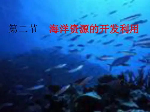 海洋资源的开发利用PPT教学课件