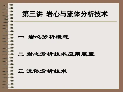 第三讲  岩心与流体分析技术