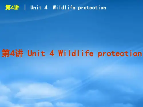 高考英语 第4讲 Unit 4 Wildlifeprotection复习方案课件 新人教必修2、