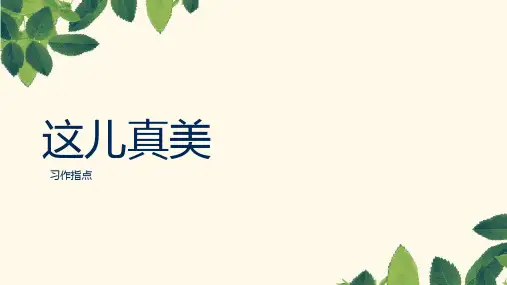 部编版语文三年级上册习作：这儿真美  第一课时  课件(共17张PPT)