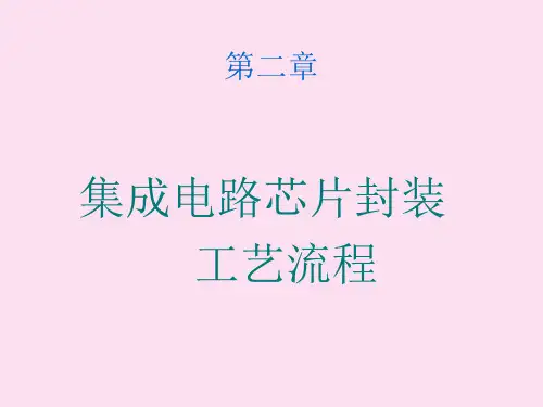封装工艺流程(1)