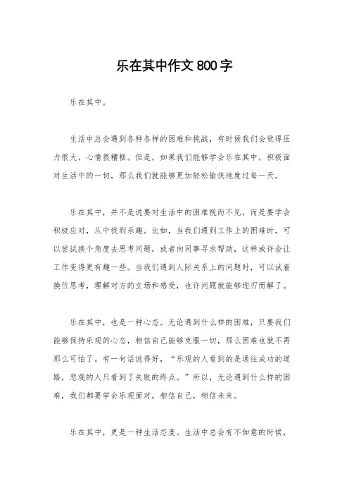 乐在其中作文800字