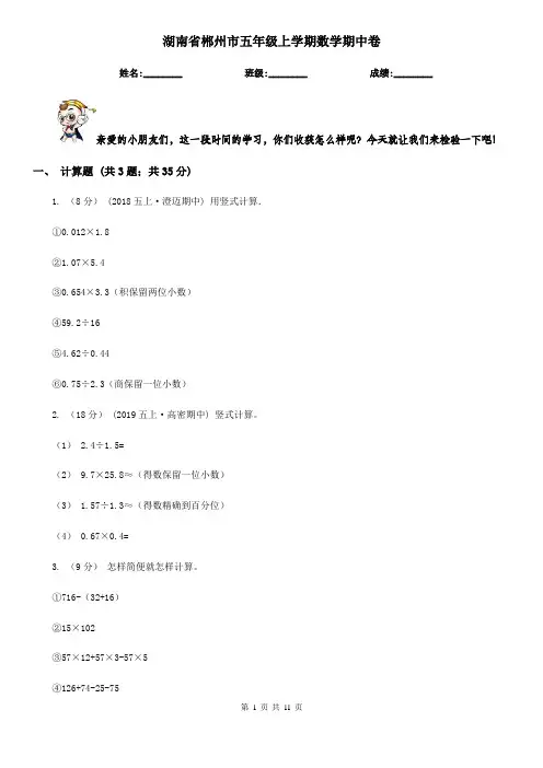 湖南省郴州市五年级上学期数学期中卷