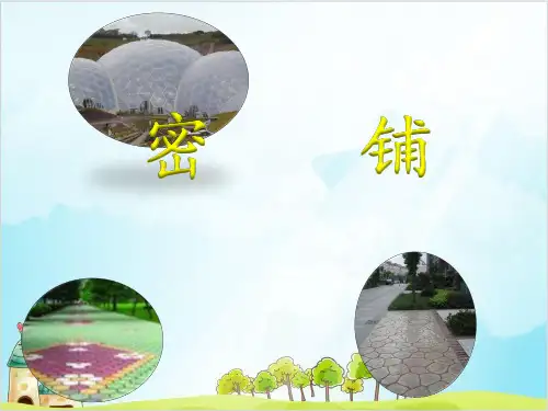 四年级【下】数学-数学好玩1 密铺 _北师大版-优秀课件 (48张)