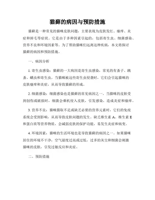 猫藓的病因与预防措施