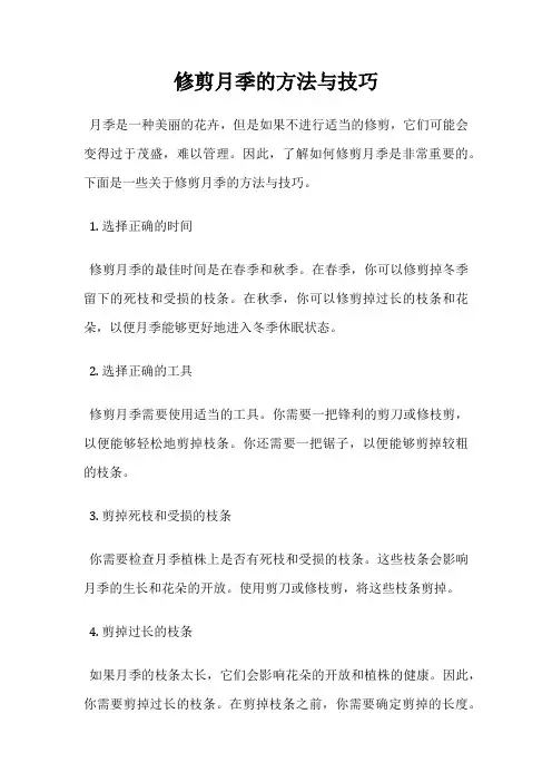 修剪月季的方法与技巧