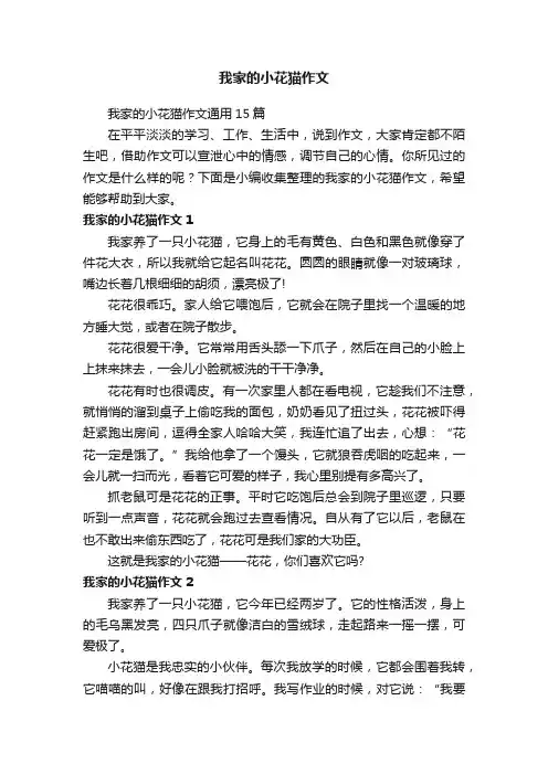 我家的小花猫作文