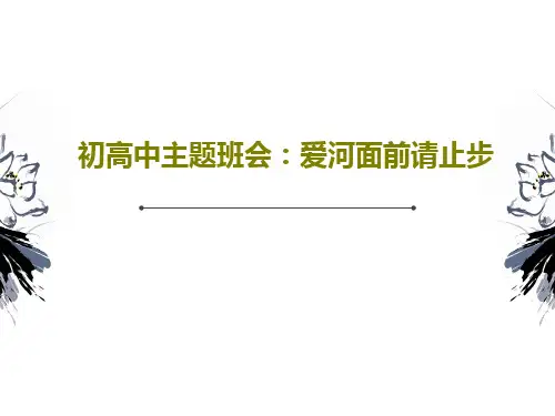 初高中主题班会：爱河面前请止步共34页文档