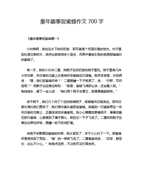 童年趣事捉蜜蜂作文700字