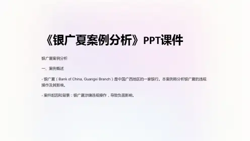 《银广夏案例分析》课件