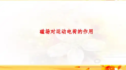 2020高考物理专题复习磁场对运动电荷的作用PPT课件