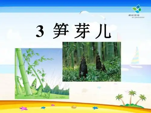 《笋芽儿》PPT课件8 (共17张PPT)