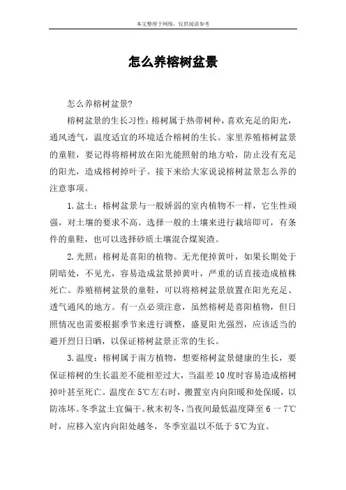怎么养榕树盆景