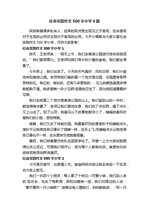 社会实践作文500字小学6篇