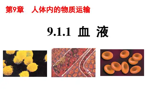北师大版七年级下册 9.1血液课件