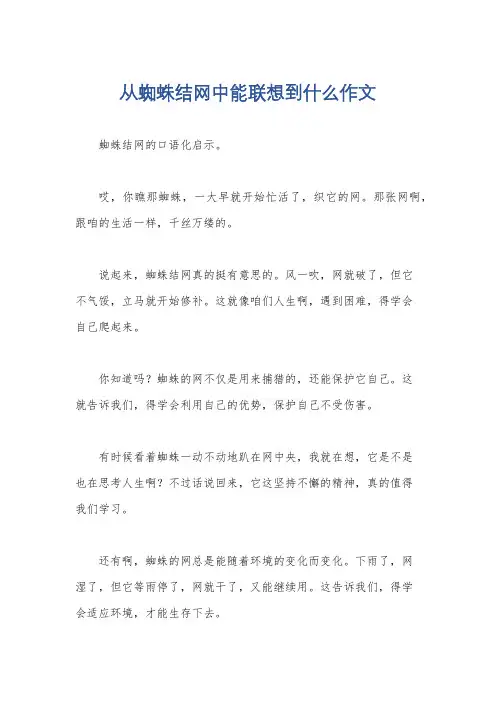 从蜘蛛结网中能联想到什么作文