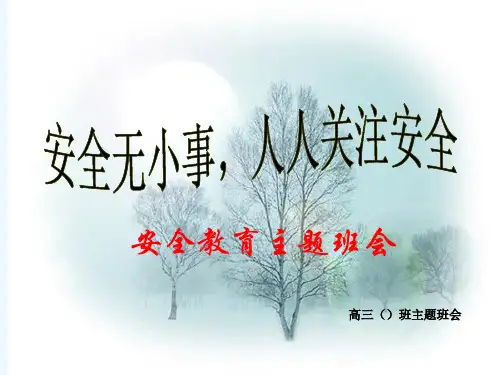 高三安全教育主题班会