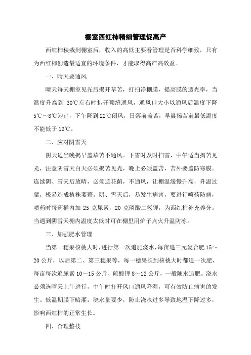 棚室西红柿精细管理促高产